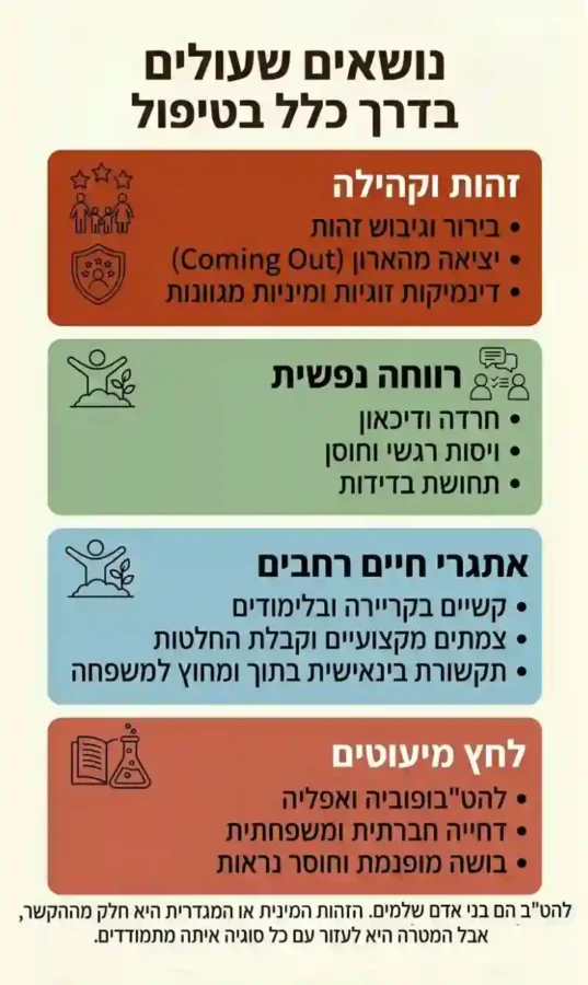 סוגיות נפוצות העולות בטיפול בקרב להט"ב