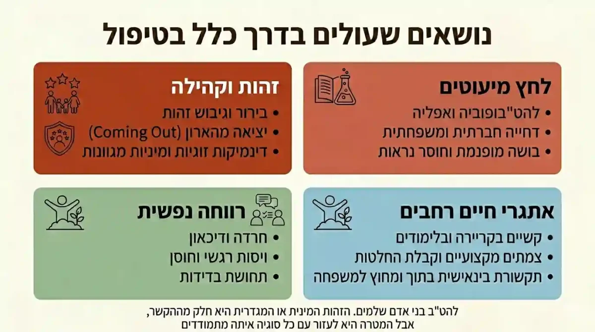 סוגיות נפוצות העולות בטיפול בקרב להט"ב